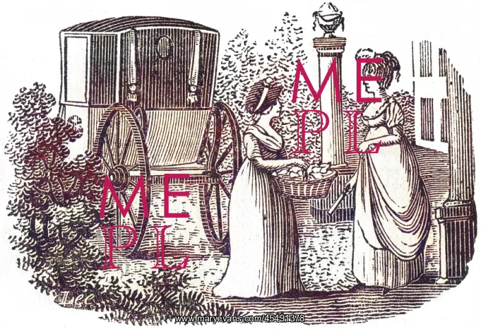 : Lady visiting in a carriage, c. 1800 : Lady visiting in a carriage, c. 1800