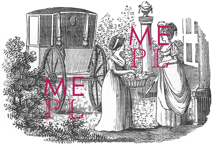 : Lady visiting in a carriage, c. 1800 : Lady visiting in a carriage, c. 1800