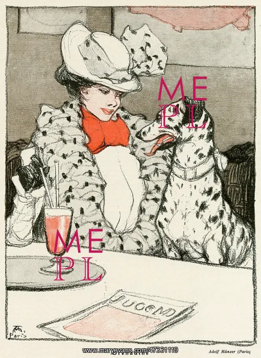 : LADY W / DALMATIAN CAFE : LADY W / DALMATIAN CAFE