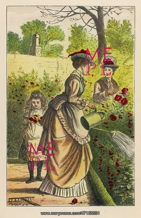  : LADY WATERS THE ROSES