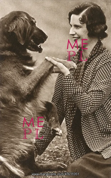 : Lady Weymouth with a large dog : Lady Weymouth with a large dog