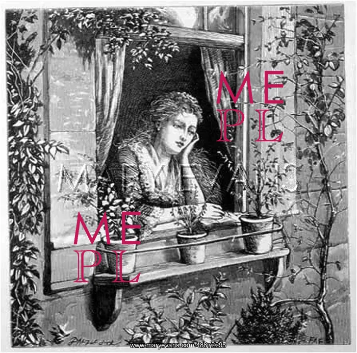 : Lady at her window, with potted plants on the sill : Lady at her window, with potted plants on the sill