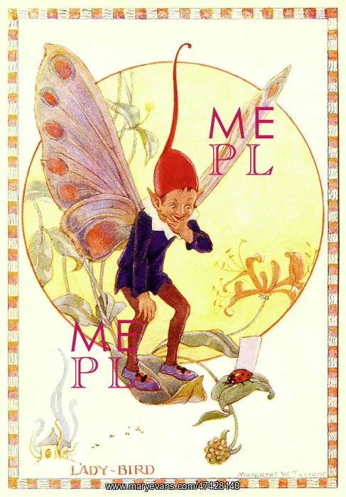  : Ladybird - Illustration from the book The Insect Fairies'~~