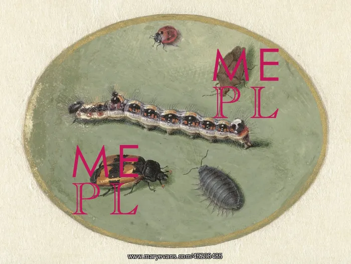 : Ladybird, Caterpillar, Sow Bug and Two Turrets : Ladybird, Caterpillar, Sow Bug and Two Turrets