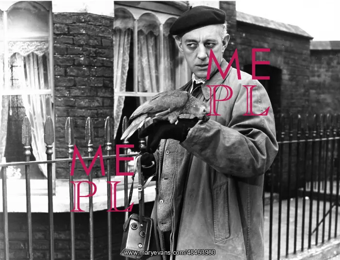  : THE LADYKILLERS