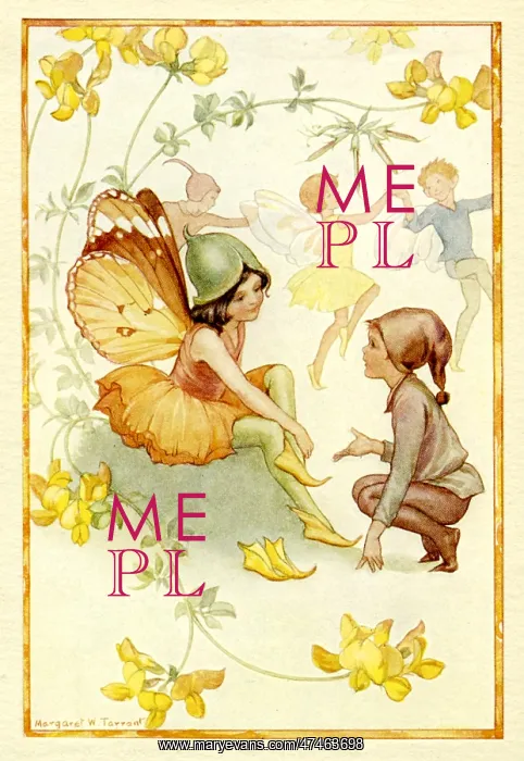 : Lady's Slipper Fairy : Lady's Slipper Fairy