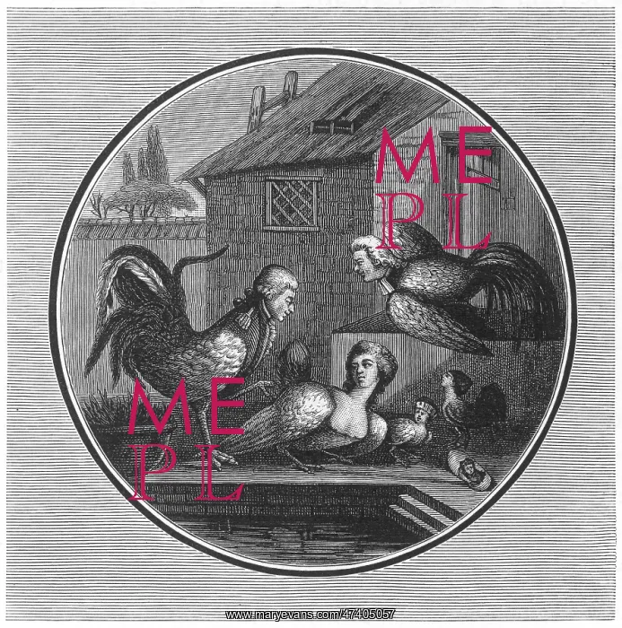 : Lafayette Satire : Lafayette Satire
