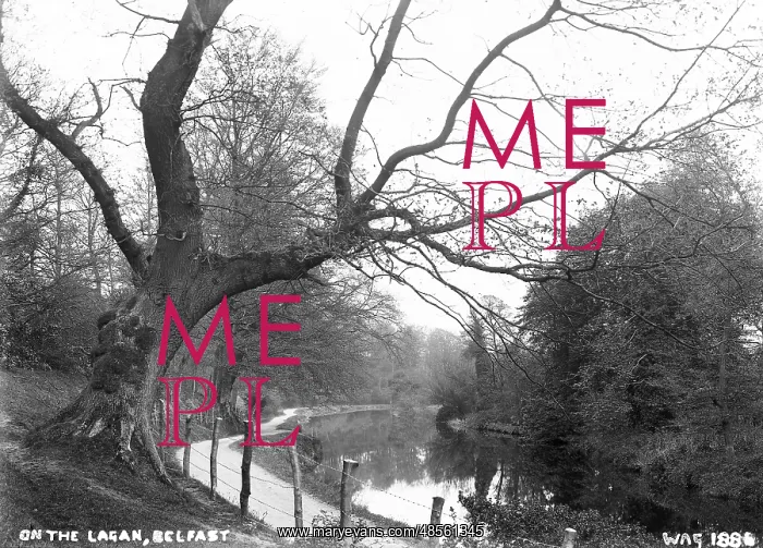 : On the Lagan, Belfast : On the Lagan, Belfast