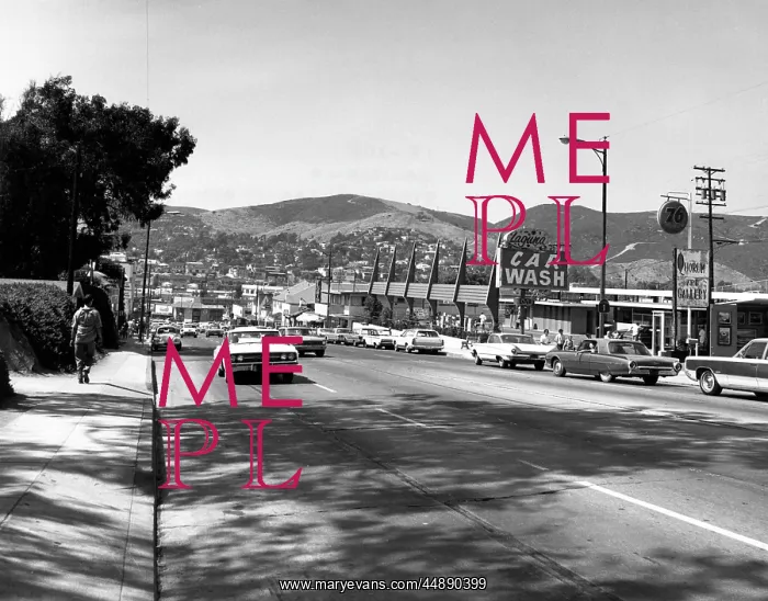 : LAGUNA BEACH : LAGUNA BEACH
