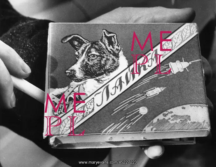 : Laika the Russian space dog, first creature ? : Laika the Russian space dog, first creature ?