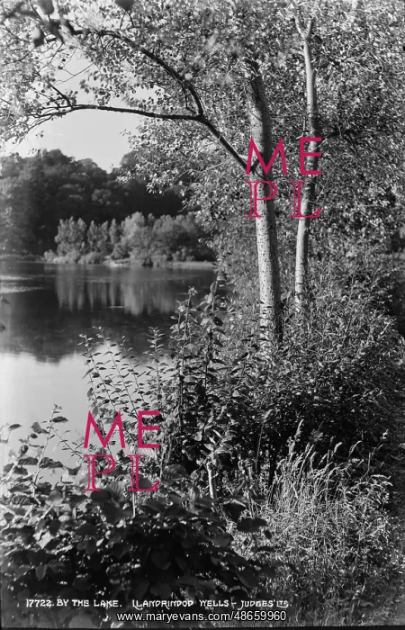 : By the Lake : By the Lake