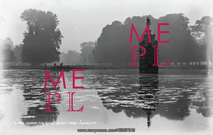 : The Lake at Bushy Park : The Lake at Bushy Park