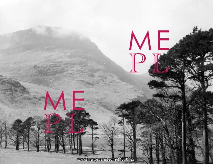 : LAKE BUTTERMERE : LAKE BUTTERMERE