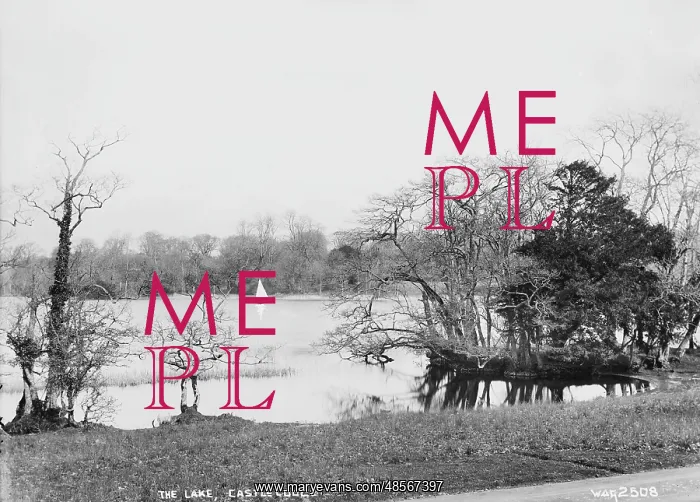 : The Lake, Castlecoole : The Lake, Castlecoole