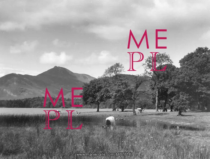 : LAKE DERWENTWATER : LAKE DERWENTWATER