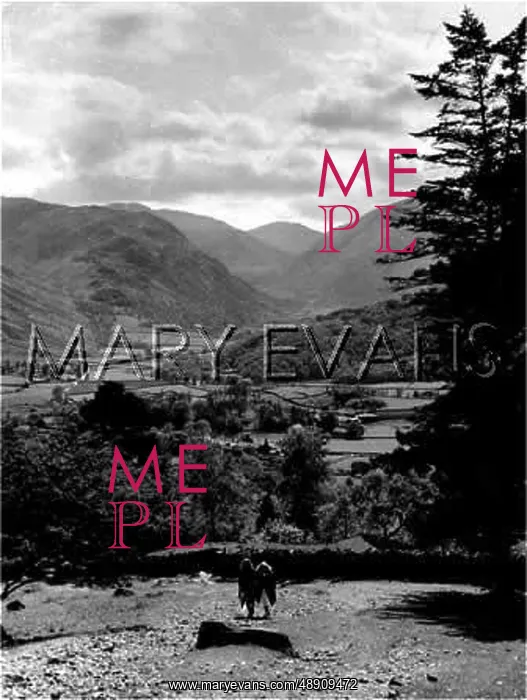 : LAKE DISTRICT / BORROWDALE : LAKE DISTRICT / BORROWDALE