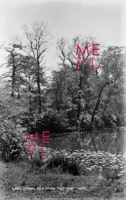 : The Lake at Kenwood : The Lake at Kenwood