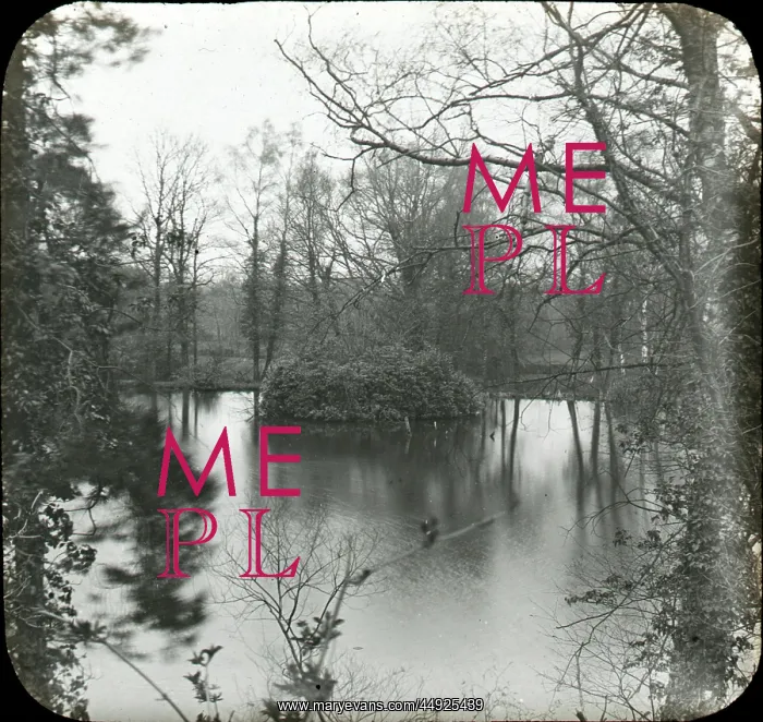: The lake, Keston : The lake, Keston
