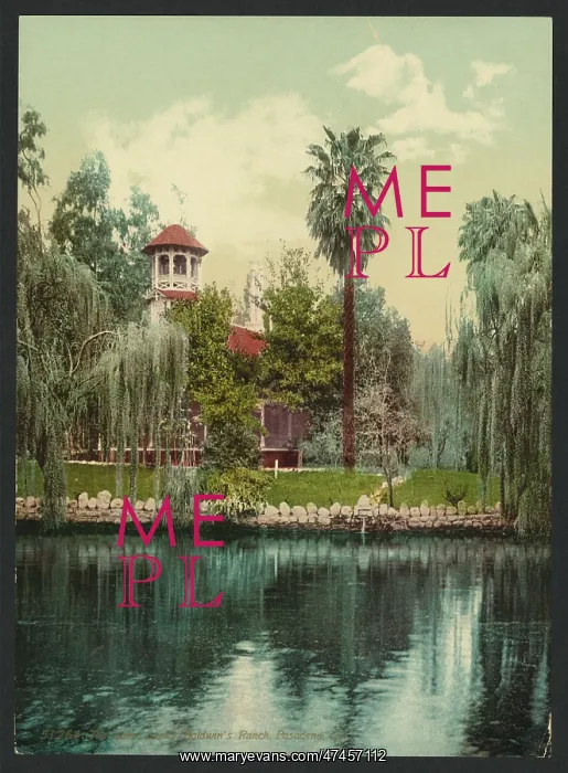 : The lake, Lucky Baldwin's ranch, Pasadena, Cal : The lake, Lucky Baldwin's ranch, Pasadena, Cal