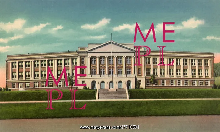 : Lake Placid High School : Lake Placid High School