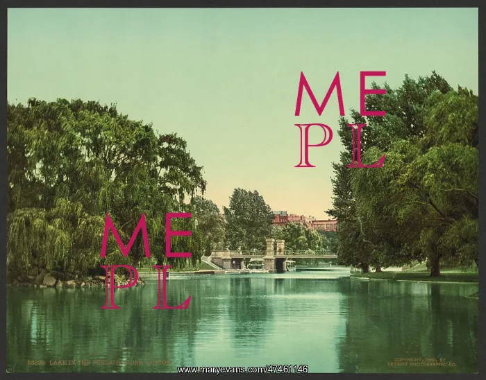 : Lake in the Public Garden, Boston : Lake in the Public Garden, Boston