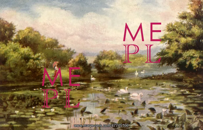 : Lake with Swans : Lake with Swans