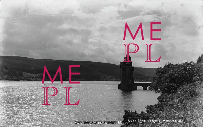 : Lake Vyrnwy : Lake Vyrnwy