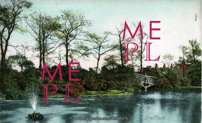 : The Lake, Weston Park, Sheffield, Yorkshire : The Lake, Weston Park, Sheffield, Yorkshire