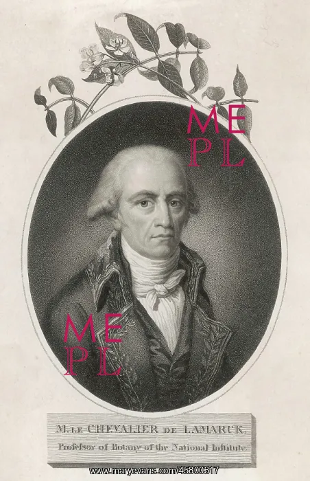  : LAMARCK. JEAN-BAPTISTE-PIERRE-ANTOINE DE MONET DE LAMARCK French naturalist