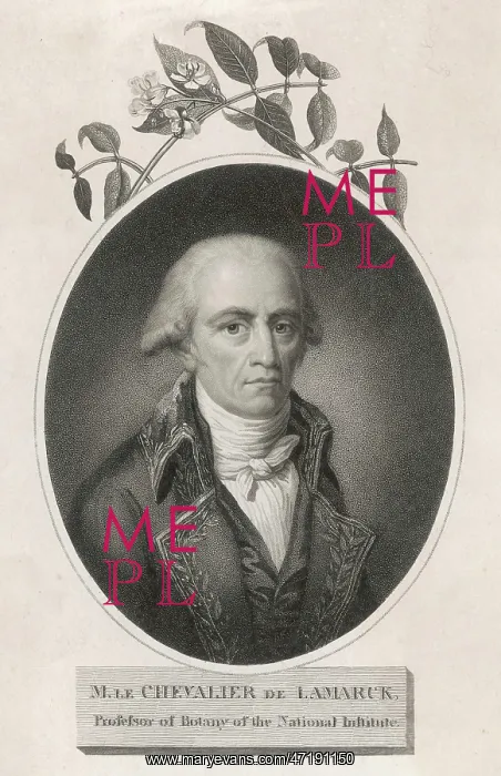  : LAMARCK. JEAN-BAPTISTE-PIERRE-ANTOINE DE MONET DE LAMARCK (1744 -1829), French naturalist