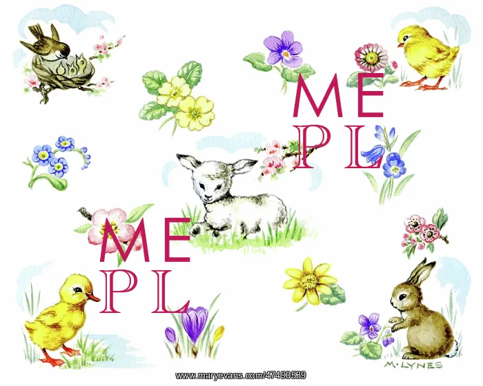 : Lamb, chick, duckling, rabbit and spring flowers : Lamb, chick, duckling, rabbit and spring flowers