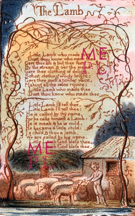: The Lamb. A page from Songs of Innocence by : The Lamb. A page from Songs of Innocence by