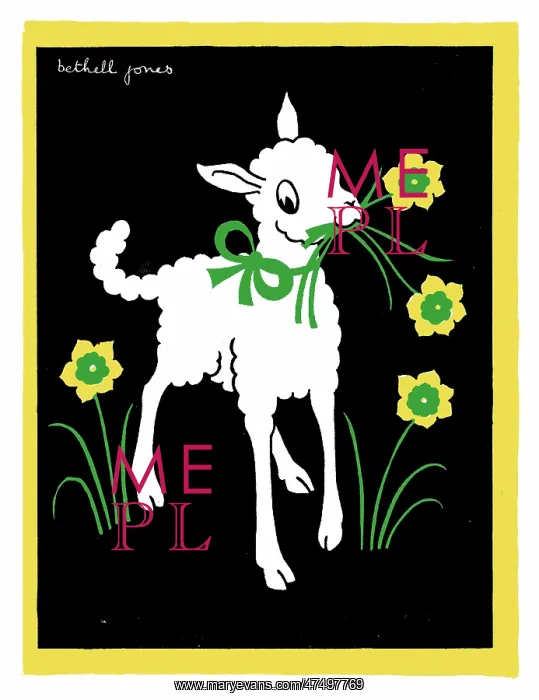  : Lamb Picking Daffodils