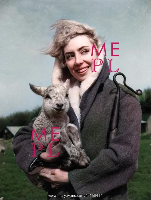 : LAMB AND SHEPHERDESS : LAMB AND SHEPHERDESS