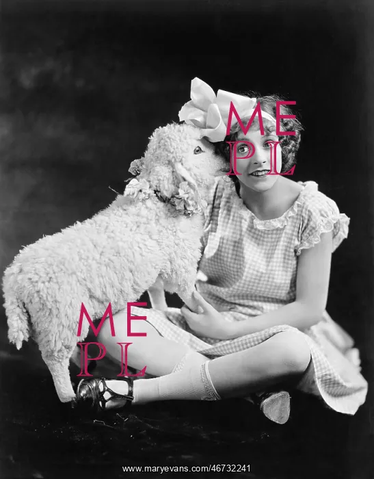 : Lamb whispering into a teenager's ear : Lamb whispering into a teenager's ear