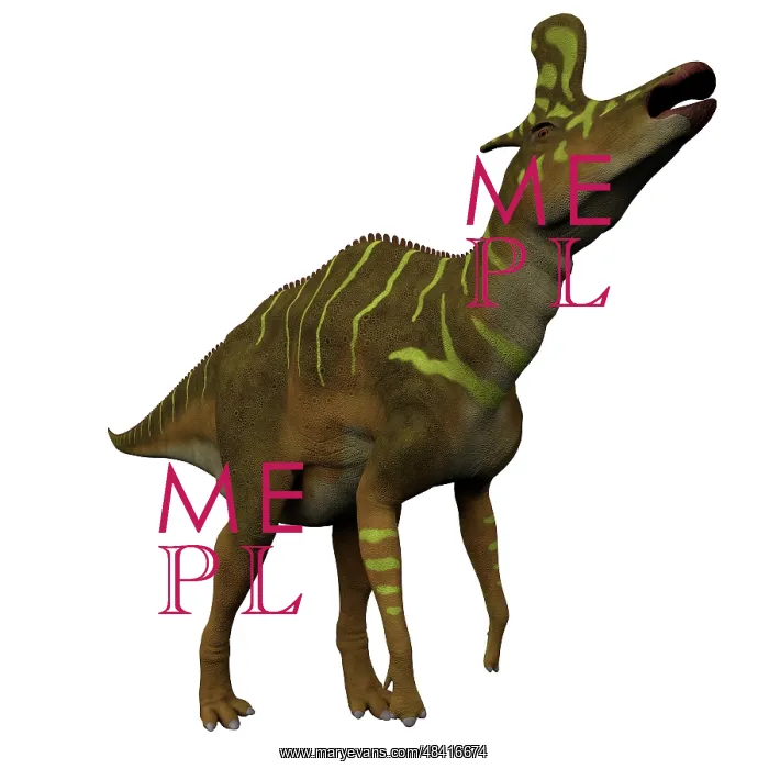 : Lambeosaurus dinosaur on white background : Lambeosaurus dinosaur on white background