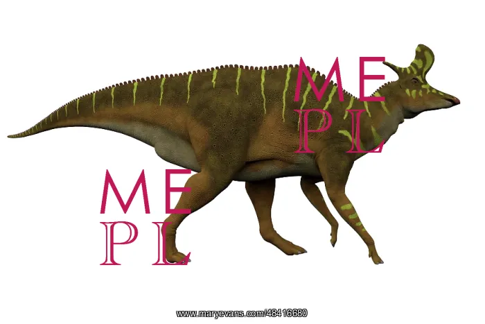 : Lambeosaurus dinosaur on white background : Lambeosaurus dinosaur on white background