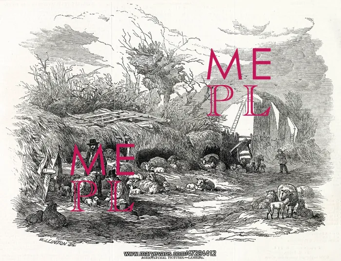 : LAMBING 1846 : LAMBING 1846