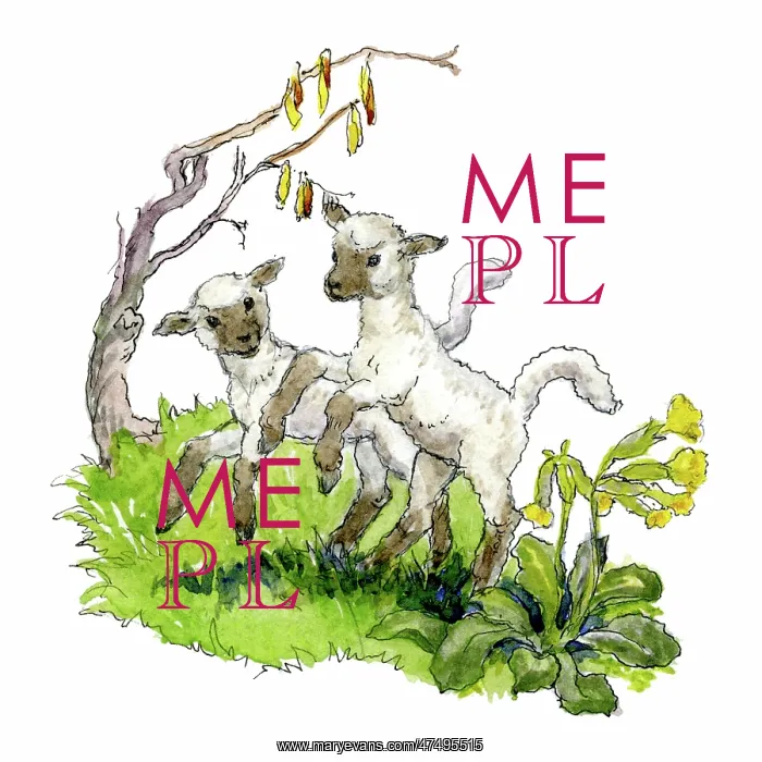  : Two Lambs. Two lambs gambolling, with cowslips and catkins