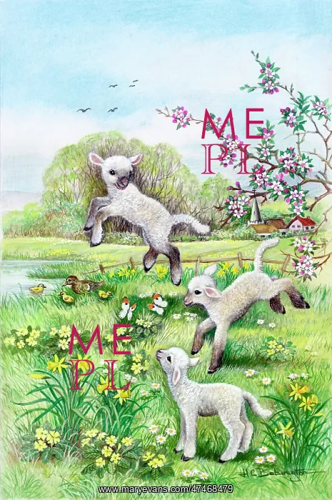  : Three lambs with butterflies