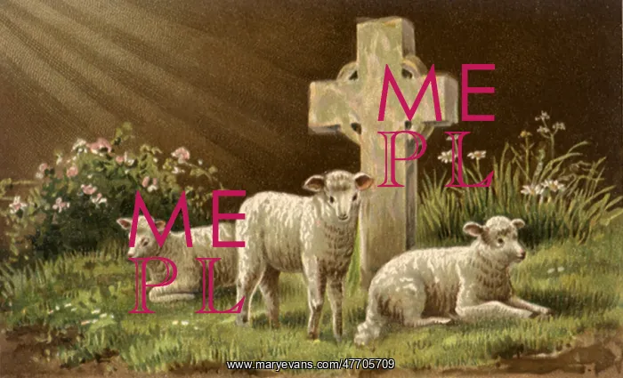  : Lambs and Cross