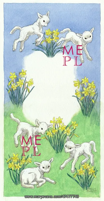 : Five lambs and daffodills : Five lambs and daffodills
