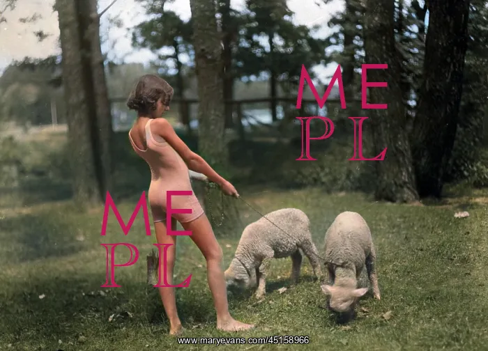 : LAMBS ON LEADS : LAMBS ON LEADS