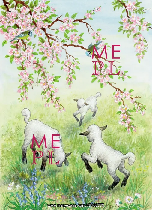  : Three lambs in a meadow