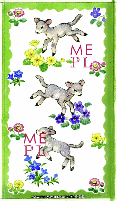: Three lambs and spring flowers : Three lambs and spring flowers