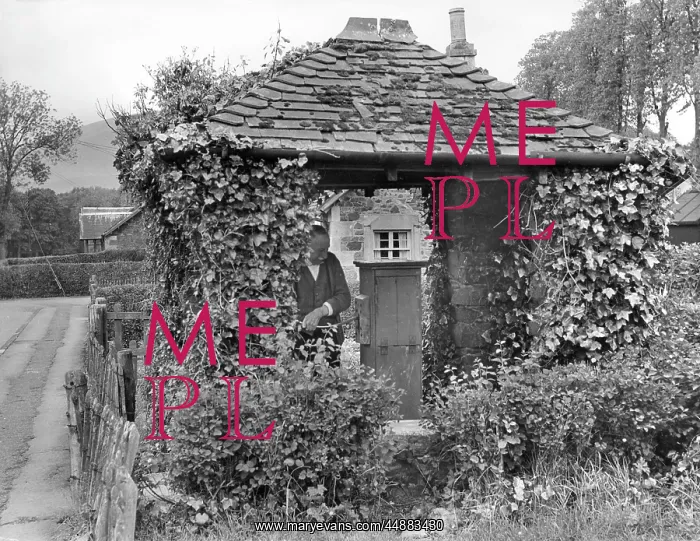 : LAMINGTON VILLAGE WELL : LAMINGTON VILLAGE WELL