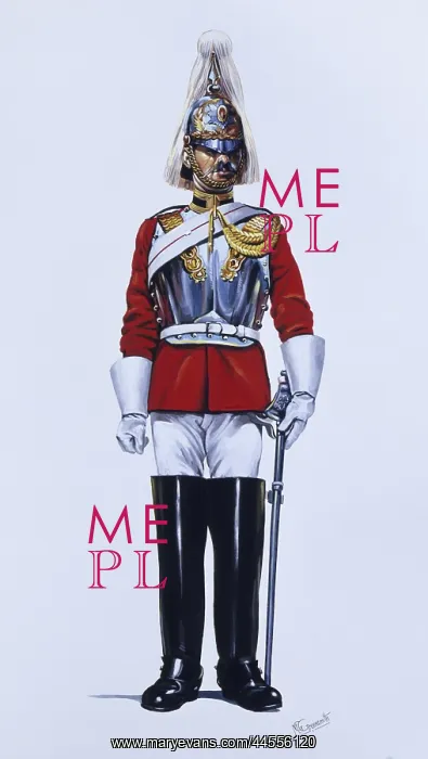 : Lance Corporal of the Life Guards : Lance Corporal of the Life Guards