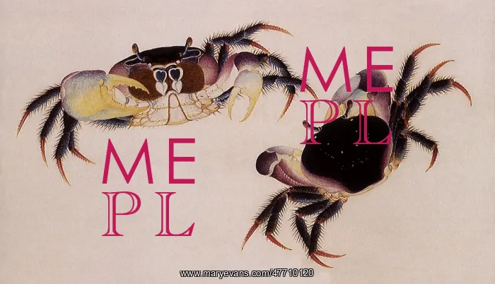  : Two Land Crabs