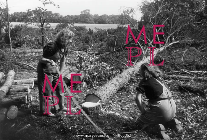 : LAND GIRLS WITH LOGS : LAND GIRLS WITH LOGS
