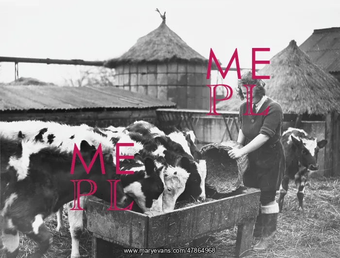  : Land Girls WWII